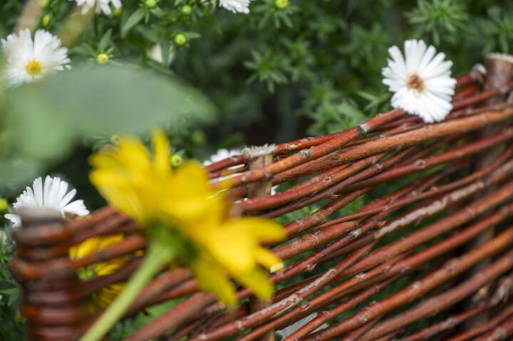 dobar Beeteinfassungen aus Weide